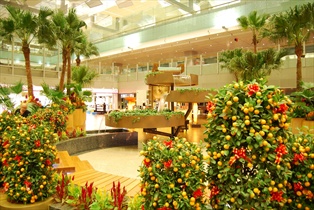 Changi Airport, Singapore (SIN)